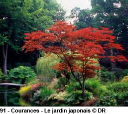 jardin japonais - JPEG